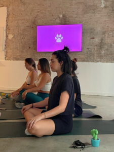 puppy-yoga-marseille-IMG_1105
