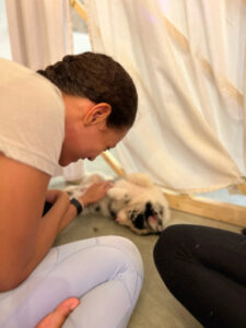 puppy-yoga-marseille-IMG_1501