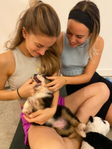 puppy-yoga-marseille-IMG_3405