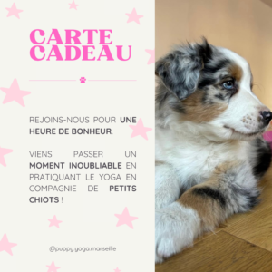 Carte Cadeau